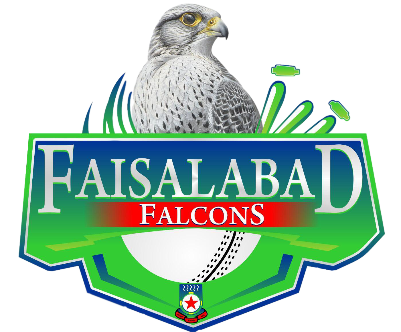 Faisalabad Falcons